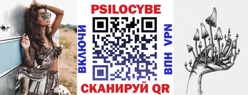 mega маркетплейс  Котово  Псилоцибиновые грибы мицелий 